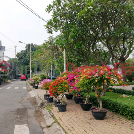 HOUSE IN ALLEYWAY IN BONG SAO AREA – 3 MINUTES TO DISTRICT 5 – PRICE 9 BILLION VND _0