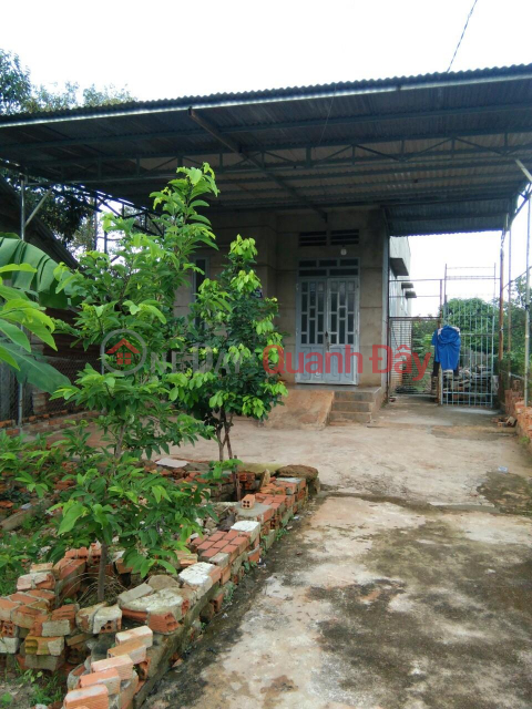 GENERAL FOR SALE A House With Nice Location In Ea Tam Ward, Buon Ma Thuot City _0