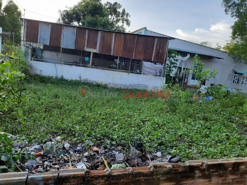 OWNER Need to Sell Quickly Beautiful Land Lot Location In Dong Nai Province Rental Listings