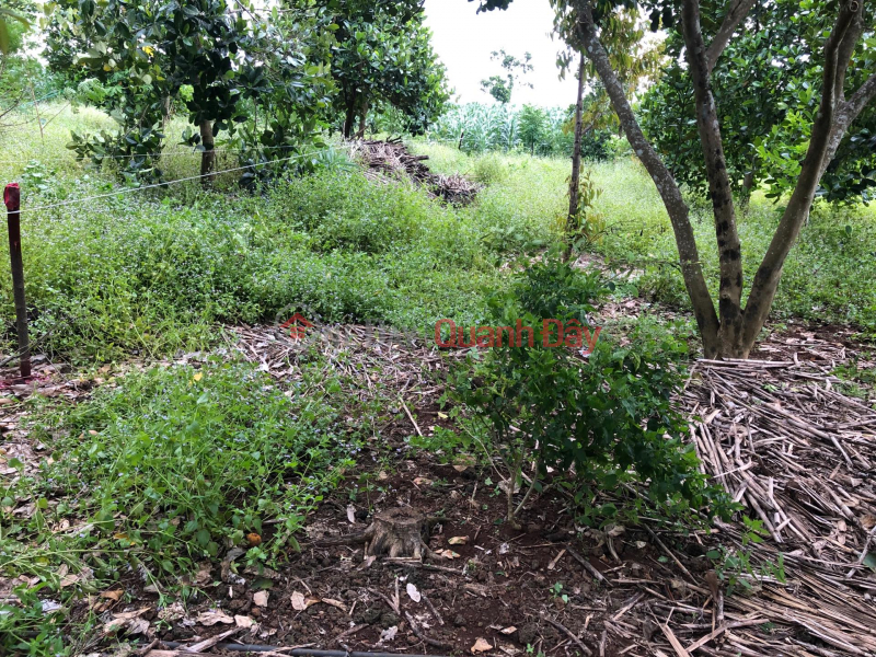 Property Search Vietnam | OneDay | | Sales Listings Garden land - Phu Loi - Dinh Quan - Dong Nai