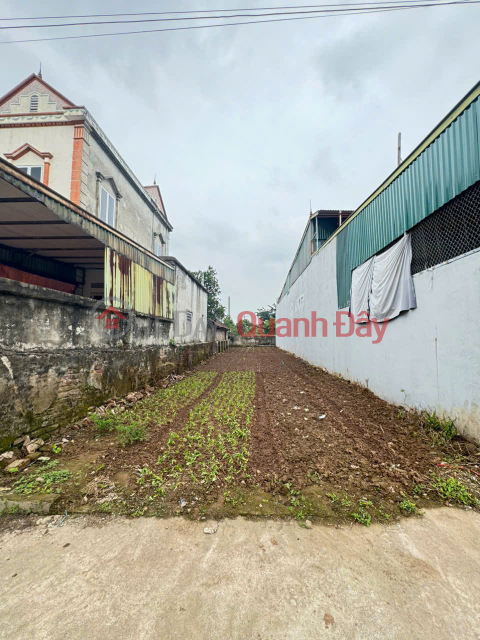 Siêu phẩm đất đẹp Xóm 2, Chương Dương - Giá tốt - Vị trí đẹp, đường rộng, tiềm năng tăng giá cao _0
