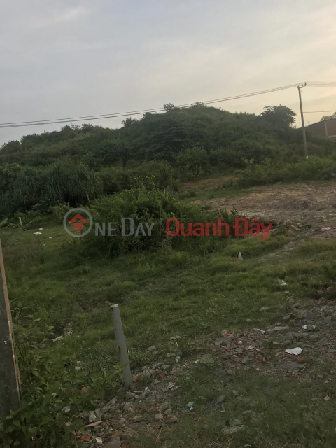 Owner's Land Very Cheap Price - Nice Location Dien Ban Town - Quang Nam _0