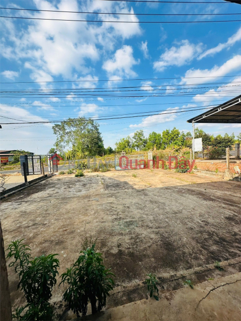 Đất Đẹp - Giá Tốt Bán Đất Tặng Nhà xã Nam Bình, huyện Đắk Song, tỉnh Đắk Nông _0