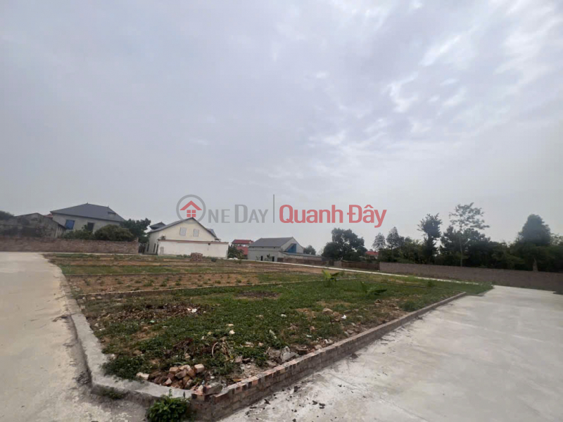 Property Search Vietnam | OneDay | Residential | Sales Listings, Own a beautiful 81m² plot of land in Thanh Lai, Phu Linh, Soc Son for only 2.X billion VND - Catch the rising price wave!