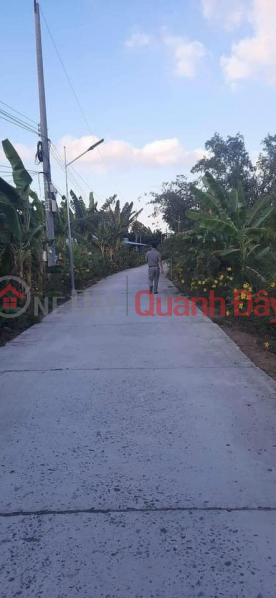 Property Search Vietnam | OneDay | Sales Listings | Bao Lon canal bed near Lung Coc Cau tourist area, Nhon Nghia, Phong Dien, Can Tho