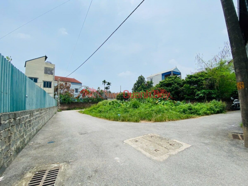 Property Search Vietnam | OneDay | Residential | Sales Listings, OWNER NEEDS TO SELL 66M2 LAND LOT IN CHUC SON CENTER - CHUONG MY - HANOI
