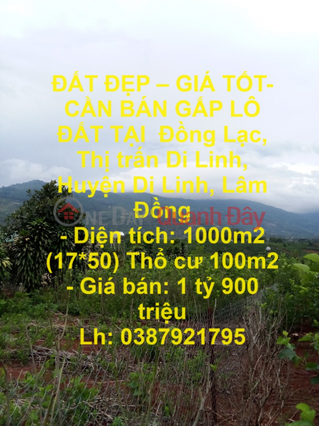 BEAUTIFUL LAND - GOOD PRICE - FOR URGENT LOT FOR SALE IN Dong Lac, Di Linh Town, Di Linh District, Lam Dong Sales Listings