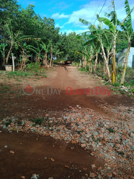 Owner Needs to Sell Agricultural Land, Thanh Nhat Ward, Buon Ma Thuot City | Vietnam | Sales đ 350 Million