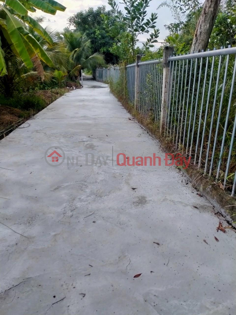 Own a Land Lot Right From The Right Owner Beautiful Prime Location In Tan Phuoc, Tien Giang _0