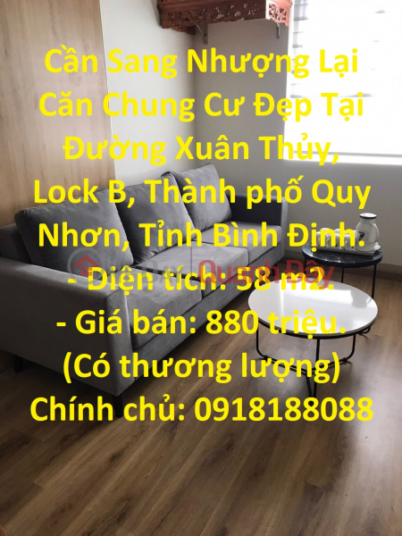 Need to Transfer Beautiful Apartment At Xuan Thuy Street, Lock B, Quy Nhon City, Binh Dinh Province. Sales Listings