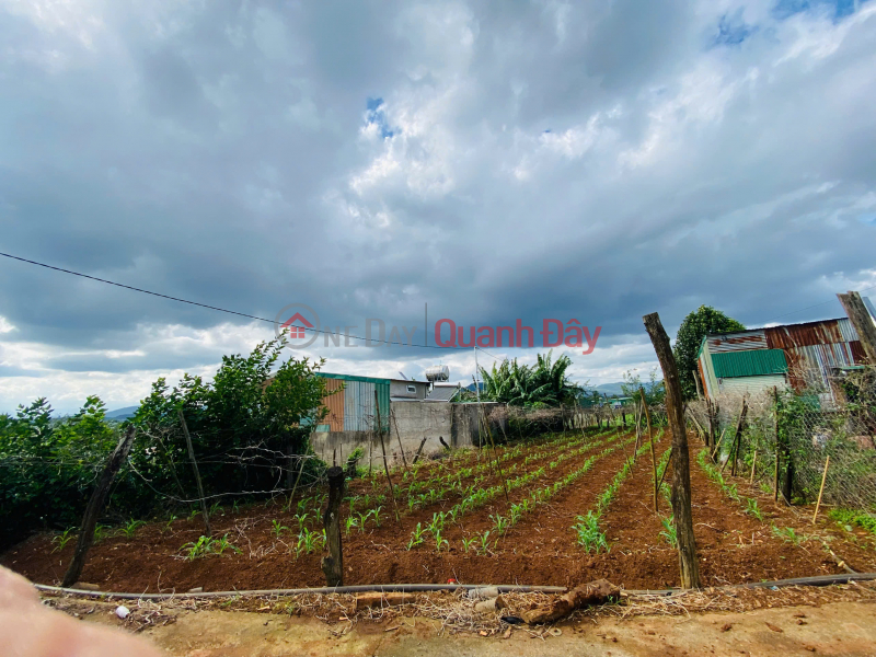Property Search Vietnam | OneDay | Nhà ở Niêm yết bán Bán đất 198m2 đất tổ 34 - thị trấn Liên Nghĩa - Đức Trọng - Lâm Đồng 2 tỷ
