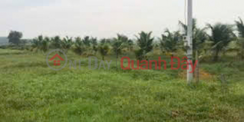 Agricultural land for sale, frontage on extended road 20, Lac Tanh town, Tanh Linh district, Binh Thuan province. _0