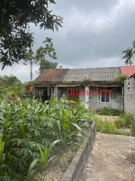 For sale plot of land 320m across 10 Tran Duong Vinh Bao, Hai Phong Sales Listings