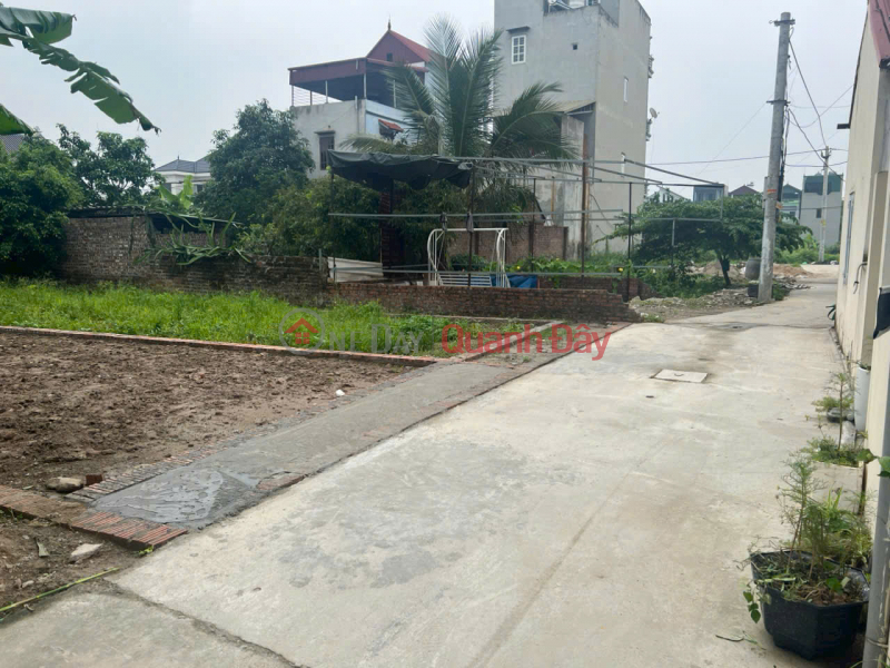 Bán đất thôn Ấp Tre (Tổ 9) Quang Minh, TP Hà Nội. Đường thông bàn cờ, full thổ cư, oto đỗ, Việt Nam, Bán, đ 3,3 tỷ