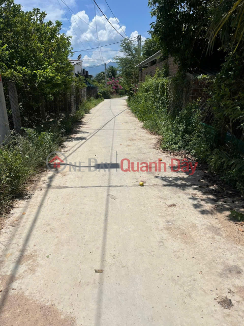 Land for sale in Ninh Xuan near primary school. Selling price 1 billion! _0