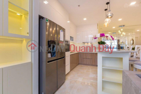 Masteri Thao Dien penthouse apartment for rent _0