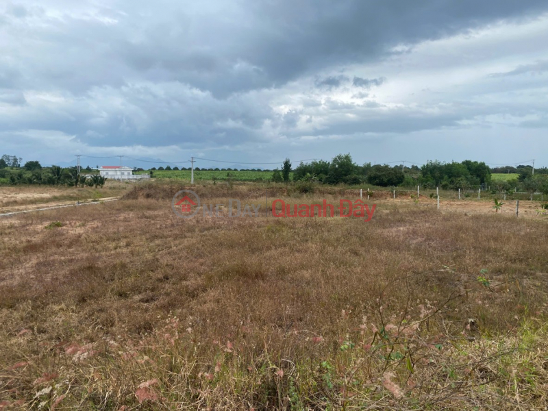 Property Search Vietnam | OneDay | Residential Sales Listings, Land for sale, lot 1200m2 - Frontage over 30m in Cam An Nam commune, Cam Lam