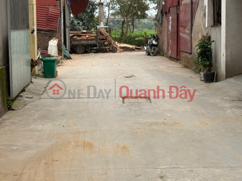 Chính chủ ra mắt siêu phẩm - Vị trí đẹp, giá mềm - Bìa Đồng, Thuỵ Lôi, Thuỵ Lâm, Đông Anh _0