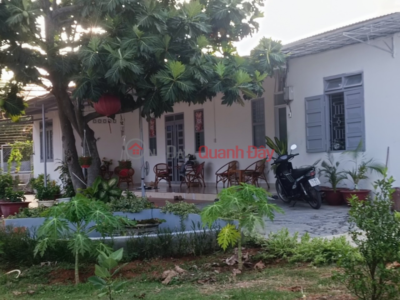 Property Search Vietnam | OneDay | Nhà ở Niêm yết bán | BÁN NHÀ, ĐẤT BIỆT THỰ: GIÁ RẼ TAI THÀNH PHỐ NHA TRANG TỈNH KHÁNH HÒA