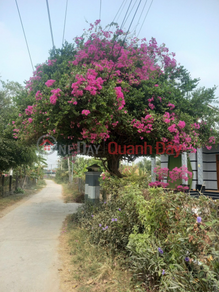 URGENT SALE OF FRONT FRONT LOT OF LAND, RESIDENTIAL 60M2 IN NINH THAN COMMUNE, NINH HOA - PRIMARY LAND AT UNEXPECTEDLY CHEAP PRICE! Sales Listings