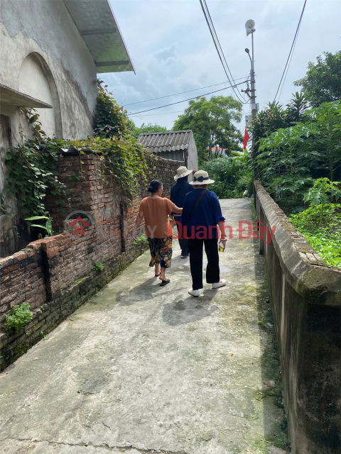 OWNER NEEDS TO QUICKLY SELL 02 LOT OF LAND ON DINH TIEN HOANG STREET, Hong Van, Thuong Tin, Hanoi _0
