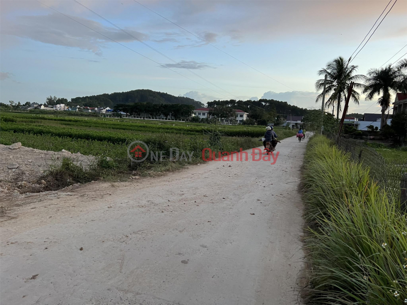 BEAUTIFUL LAND - GOOD PRICE - Land Lot For Sale Prime Location In Da Don Commune, Lam Ha District, Lam Dong, Vietnam, Sales đ 2.8 Billion