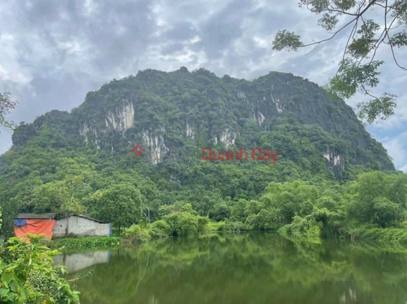 Property Search Vietnam | OneDay | , Sales Listings Bán 5914m 1500m ONT, Cao Dương, Lương Sơn, Hòa Bình