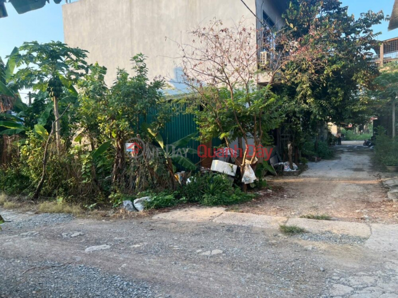 RARE SUPER PRODUCT 60M AT THUY XUAN TIEN-CHUONG MY-HANOI Sales Listings