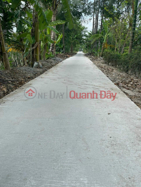 Property Search Vietnam | OneDay | Residential Sales Listings OWNER Needs to Sell Garden Land Quickly in Phu Tan Commune, Chau Thanh, Hau Giang