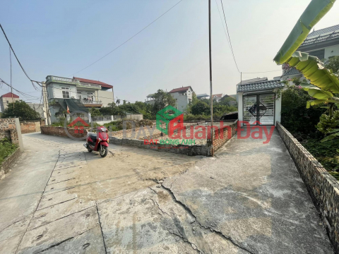 Land for sale in Co Duong, Tien Duong, 2 sides, split alley, extremely beautiful _0