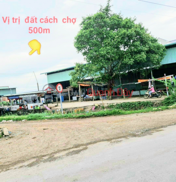 Property Search Vietnam | OneDay | Residential | Sales Listings Land Lot for Sale in Tho Phu Ngai Tri-Chau Thanh-Long An-330 Million