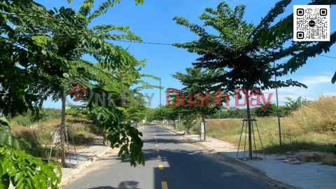 12m frontage, 100% residential land - Hoa Loi land for sale for only 1.45 billion _0