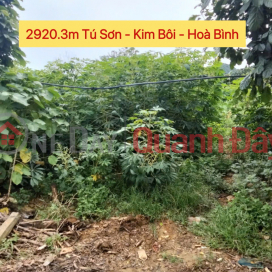 CHÍNH CHỦ BÁN LÔ ĐẤT ĐẸP 2920,3M TẠI TỪ SƠN-KIM BÔI HÒA BÌNH _0