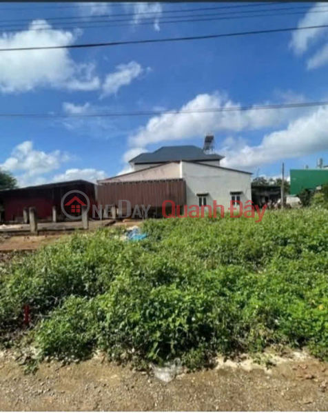 Property Search Vietnam | OneDay | Nhà ở | Niêm yết bán HOT HOT – CHÍNH CHỦ CẦN BÁN ĐẤT TẠI 442 Y Moan, xã Cư ebur, TP. Buôn Ma Thuột, Đăk Lăk