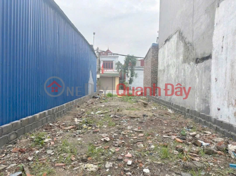 Road 361 - Lang Con, Kien Thuy, near Vinhomes, 113.8m² only 3.8xx billion - ZALO 0567 222 555 _0