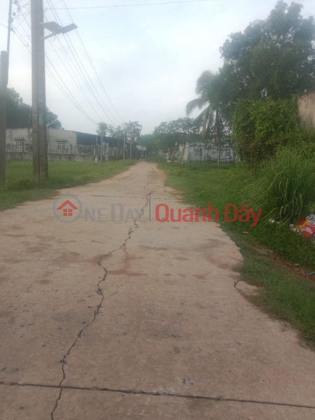 Property Search Vietnam | OneDay | Residential | Sales Listings NICE LOT OF LAND FOR QUICK SALE - GOOD PRICE in Go Dau District, Tay Ninh Province