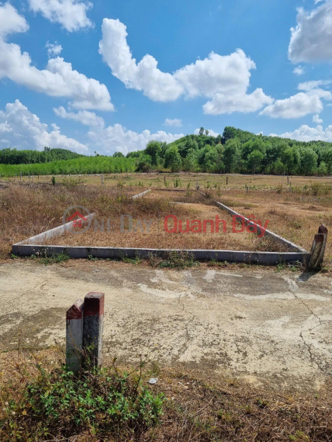 2 LOTS OF LAND FOR SALE AT SUPER CHEAP PRICE IN DIEN TAN, DIEN KHANH _0