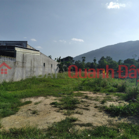 Owner Needs to Urgently Sell Land Plot, Nice Location, Bau Gia Lo Street, Xuan Truong Commune, Xuan Loc District, Dong Nai _0