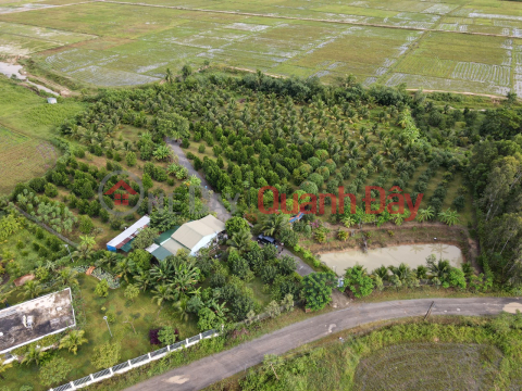 Fram Ninh Hung for quick sale 1.6ha. Asphalt road 5m, only 1km from administrative procedures _0