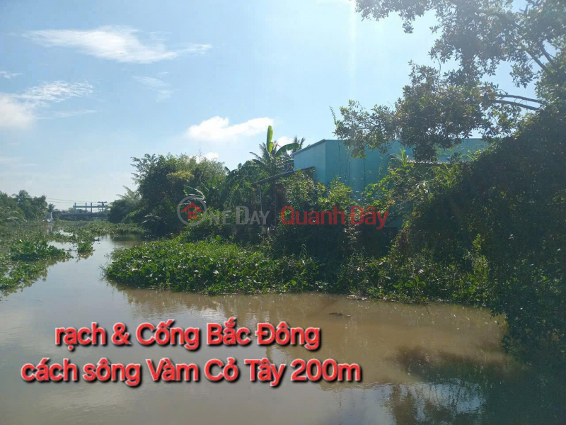 Property Search Vietnam | OneDay | Nhà ở | Niêm yết bán, ĐẤT ĐẸP- GIÁ TỐT - Chính Chủ Cần Bán Nhanh Nhà Đất Tại Mỹ An, Thủ Thừa, Long An