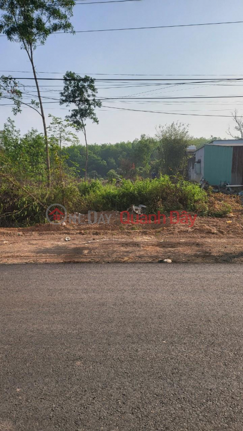 OWNER Needs to Urgently Sell Land Lot on Thanh Nien Street, Price is Softer than Bank Valuation _0