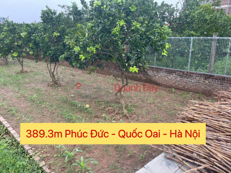 FO GOODS 389.3M AT PHUC DUC - QUOC OAI - HANOI Sales Listings