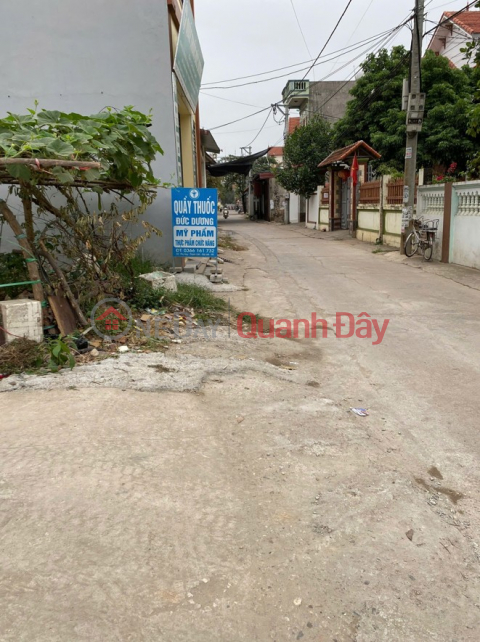 OWNER needs to sell a beautiful piece of land in Phu Huu village, Tien Thang commune, Hanoi _0