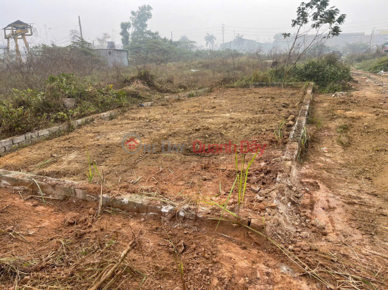 CẦN TIỀN, GIÁ NÀO CŨNG BÁN - Bán 70,9m đất dịch vụ Tiên Phương - Quy hoặch ra mặt đường 6 Niêm yết bán