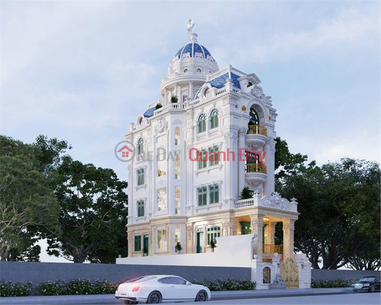 Neoclassical Super Villa FRONT OF Nun Huynh Lien 200m2 6 Floors only 60 billion Tan Binh Sales Listings