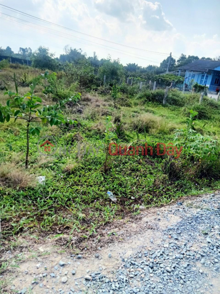 BEAUTIFUL LAND - GOOD PRICE - Owner Needs to Sell Land Quickly in Thuan My Commune, Chau Thanh, Long An | Vietnam Sales, đ 387 Million