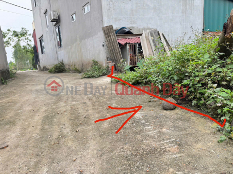 Urgent sale of 45m² land in Bach Da village, Kim Hoa commune, wide road, parking available. One house away from the main road. _0
