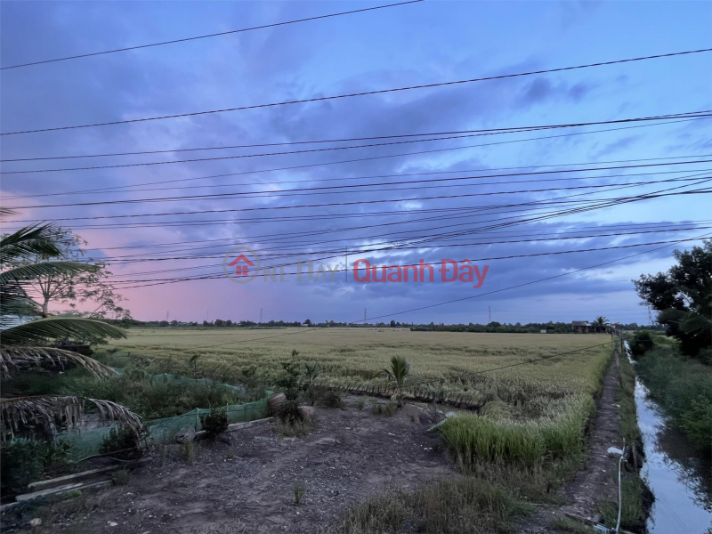 PRIMARY LAND - GOOD PRICE - Only in Hamlet 1 Long Thanh, Thu Thua - Long An, Vietnam, Sales | đ 8 Billion