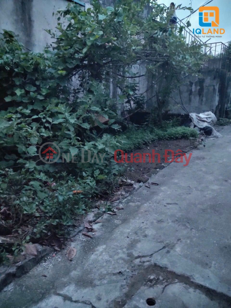 Very cheap only 840 million, 34m2 opposite Co Loa Dong Anh studio | Vietnam, Sales | đ 840 Million