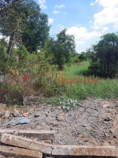 OWNER NEEDS TO FAST SELL Lot Of Land, Beautiful Location In Binh Tinh Commune, Tan Tru, Long An Sales Listings